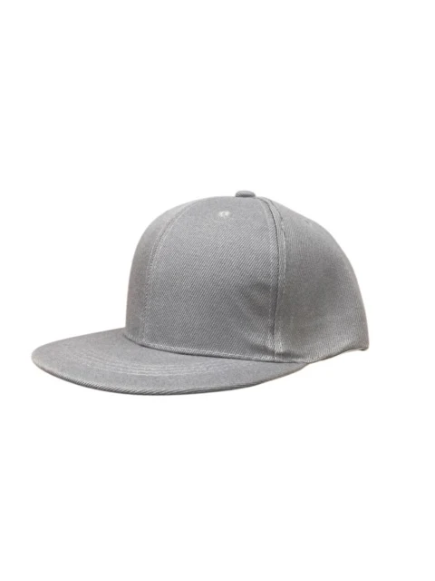 Panel Caps 6204 - Ice Grey