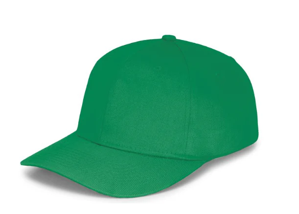 Panel Caps 6204 - Kelly