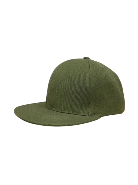 Panel Caps 6204 - Olive