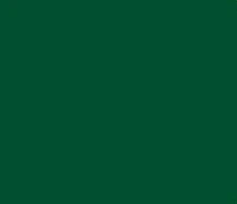 Plain Heat Transfer Vinyl - Green (hot peel)