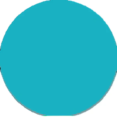 Prolite Vinyl - Aqua Blue