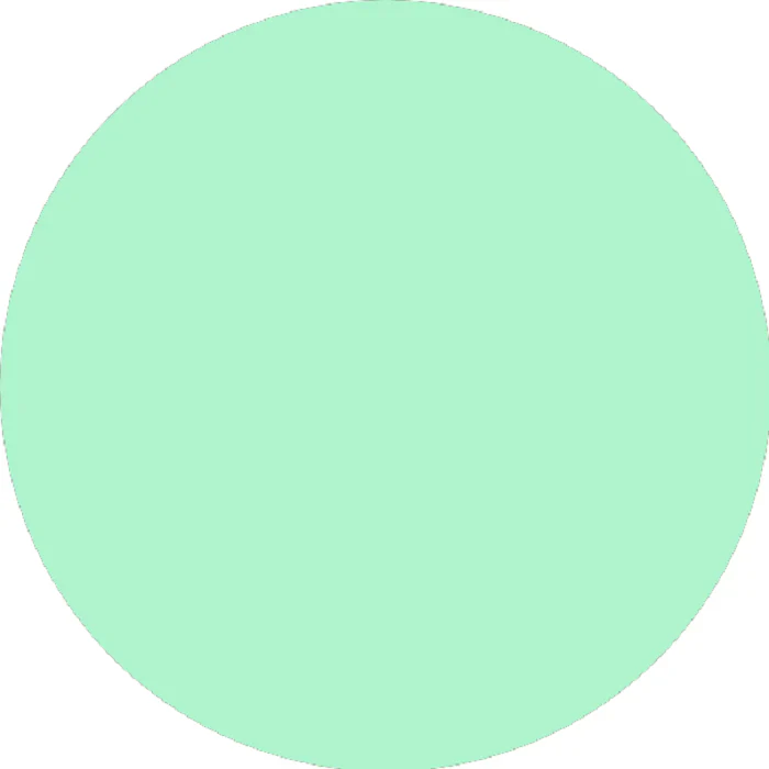 Prolite Vinyl - Mint