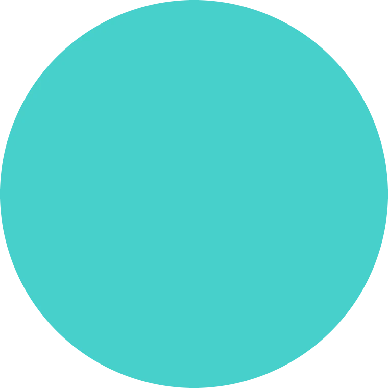 Prolite Vinyl - Turquoise
