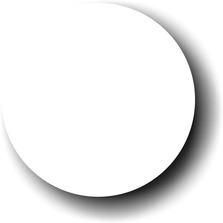 Prolite Vinyl - White