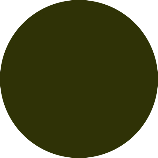 PUFF HTV Vinyl - Khaki